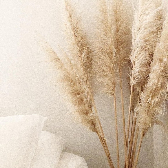 βοΈπππ»π»ππ πΆππΉ ππππΎππ ππ½ππ
π
πΎπππ· - Picture 2 of 2